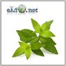 Pepper Mint (Элик) - жидкость для заправки электронных сигарет. Мята перечная.
