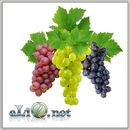 МПЖ Виноград Элик - жидкость для заправки электронных сигарет Grape ELIQ
