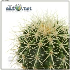 Кактус (eliq.net) - жидкость для заправки электронных сигарет