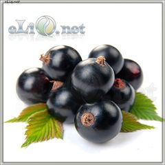 Черная смородина (eliq.net)