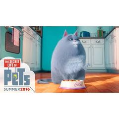 Хлоя. Тайная жизнь домашних животных. Мягкая игрушка. The Secret Life of Pets. Chloe.