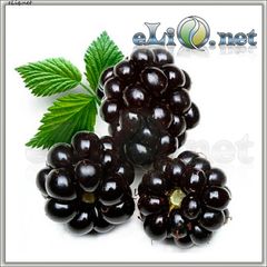 1 (eliq.net)