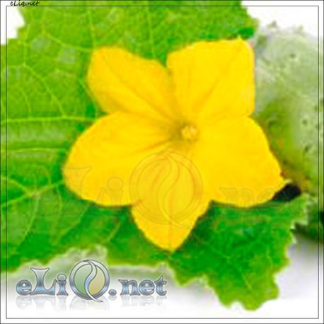 Кукумбер (eliq.net)