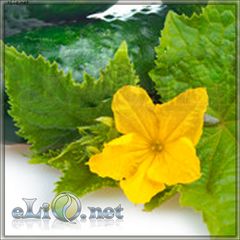 Кукумбер (eliq.net)