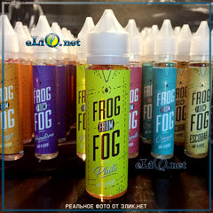 Custardo Frog From Fog