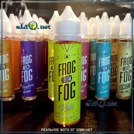 Custardo Frog From Fog