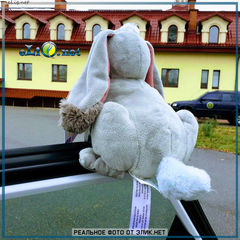 Клевер