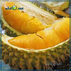 Дуриан (eliq.net) - жидкость для заправки электронных сигарет. Durian