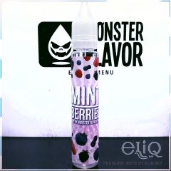 Monster Mint Berries 30мл - жидкость для заправки электронных сигарет Украина. Мятные ягоды