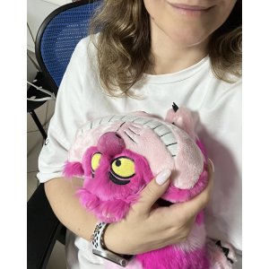 Чеширський кіт Disney в руках спереду показує усмішку та деталі обличчя
