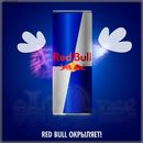Red Bull - энергетический напиток - fl. HC