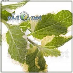 Pineapple Mint  - ароматизатор HC 