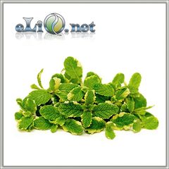 Pineapple Mint  - ароматизатор HC 