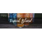 Tropical Island, Украина