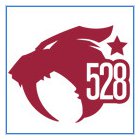 528 Custom Vapes
