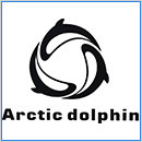 Arctic Dolphin