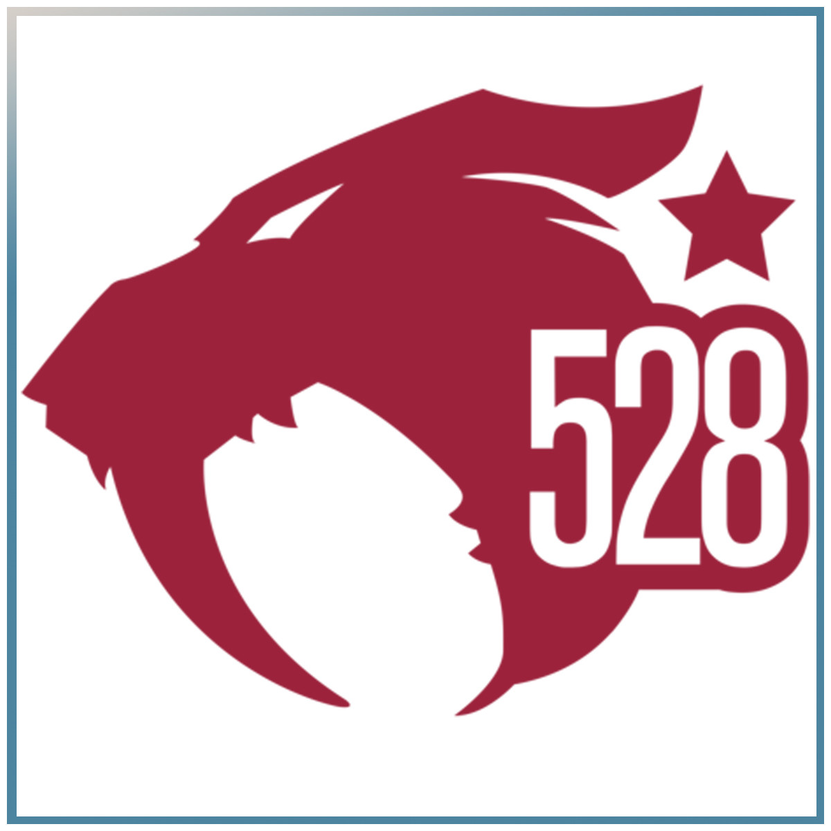 528 Custom Vapes